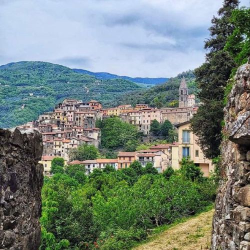 MIELE DI ROVO BIANCO DI CASTEL VITTORIO - Miele Ballestra